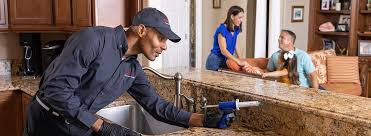 Best Residential Pest Control  in Beechwood, MI